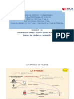 Los Medios de Prueba y los Otros Medios de Prueba