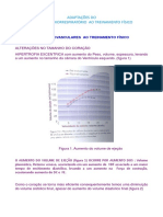 Sistema cardiorespiratório e adaptações ao treinamento físico