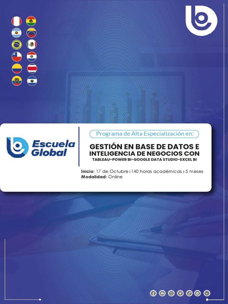 Brochure Gestion de Base de Datos e Inteligencia de Negocios Con ...