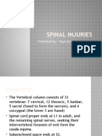 7 - Spinal-Injuries