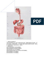 【讲义】2 消化系统