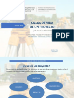 Ciclos de Un Proyecto