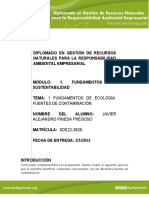 Pineda Sopadeletras PDF
