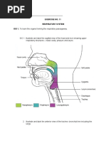 MBSImP Scoring Guide and Descriptors | PDF | Human Throat | Primate Anatomy
