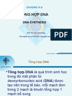 6a Tonghopdna V V