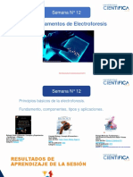 Semana 12 Fundamentos de Electroforesis