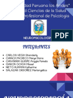 Neuropsicologia Involutiva