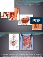 10 Unidad VIII Sistema Digestivo