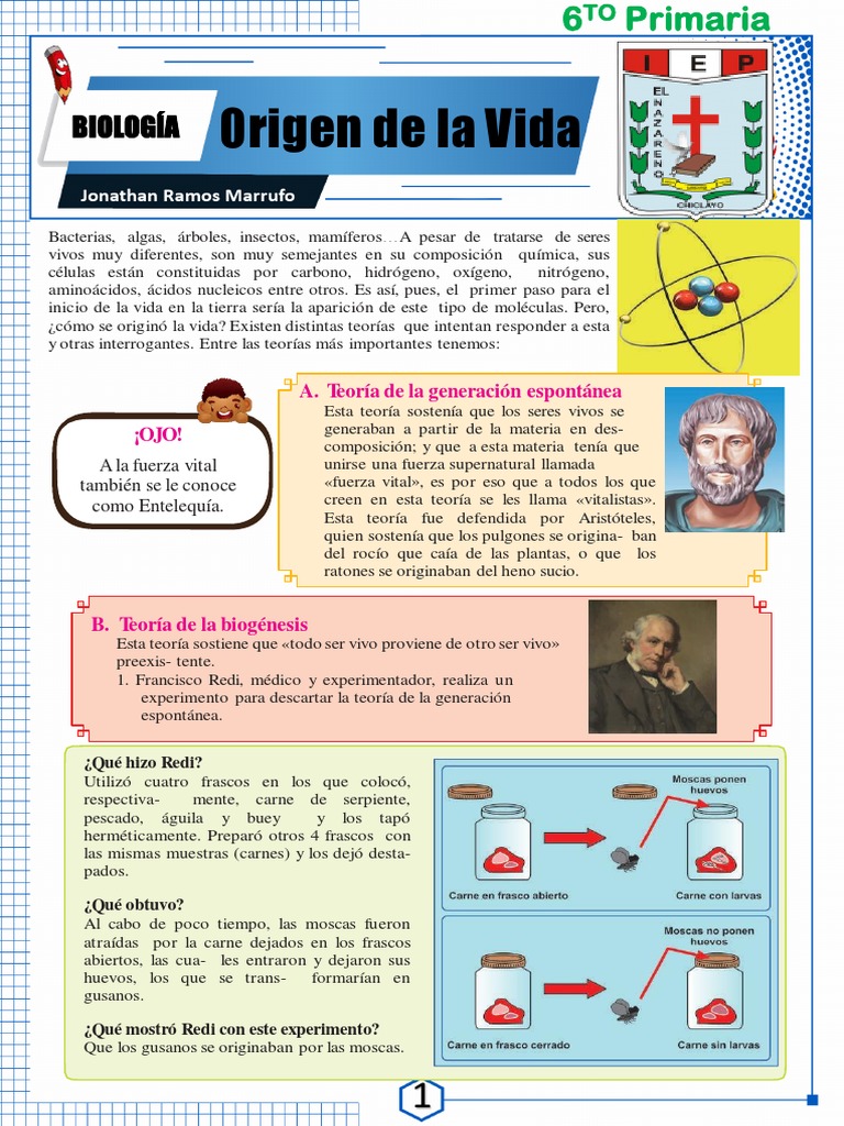 Origen de La Vida 6to - Biología | PDF | Naturaleza | Biología