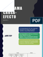 Diagrama Causa y Efecto