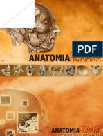 1 Anatomiahumanav2 8 120520090055 Phpapp01