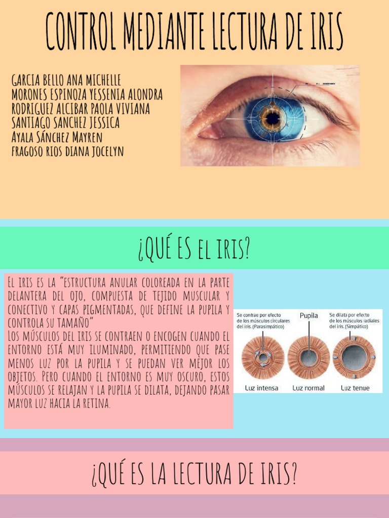 Lectura y reconocimiento del iris ocular | PDF | Biometría ...