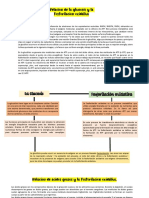 Relación de La Glucosis y La Fosforilación Oxidativa