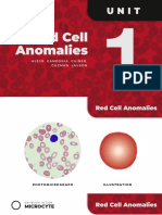 MLS 312_8481_RBC ANOMALIES_ALEJO