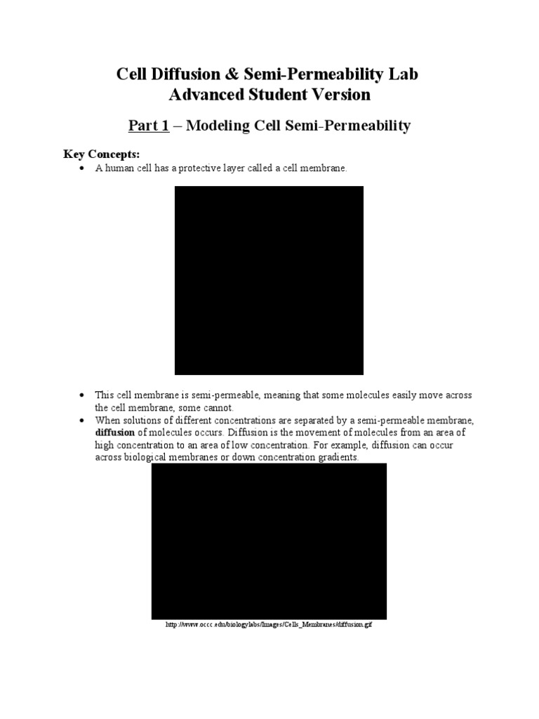 Cell Semi-Permeability and Diffusion Lab | PDF | Cell Membrane | Solution