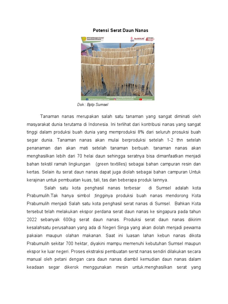 Dari nanas hingga rami, berlimpah potensi serat dan pewarna alami pakaian di Indonesia