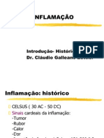 Inflamação 1