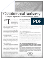 Constitution Ad Politico