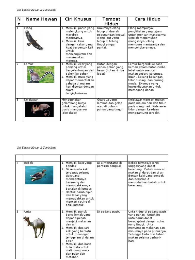 750+ Gambar Hewan Dan Tumbuhan Yang Memiliki Ciri Khusus HD Terbaru