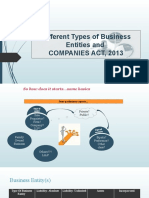 Business Entities and Type of Companies