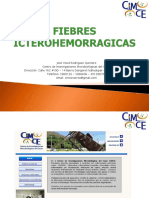 Fiebres Icterohemorragicas (2012)