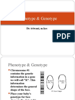 Phenotype & Genotype