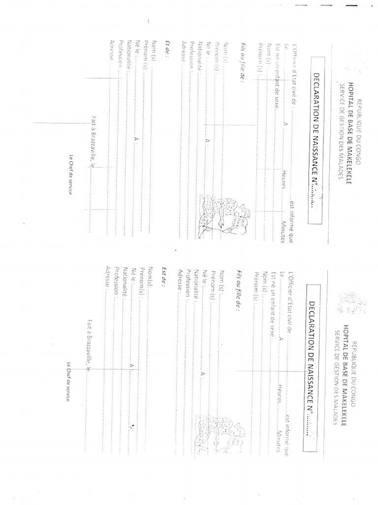 Docs Eclaration Naissance Et Acte de Naissance PDF