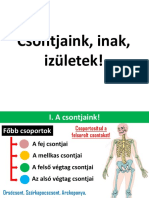 Évf Biológia Csontjaink Inak Izületek 12 Óra