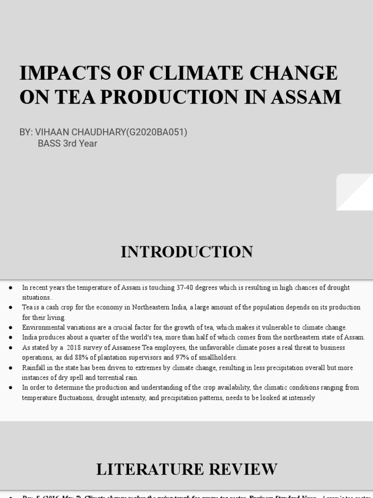 Climate Change Effects on Assam Tea Production | PDF | Drought | Climate