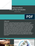 Dracunculiasis