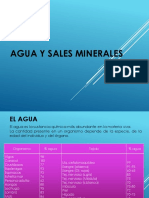 N° 04 Agua y Sales Minerales