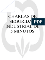 Charla 5 Minutos