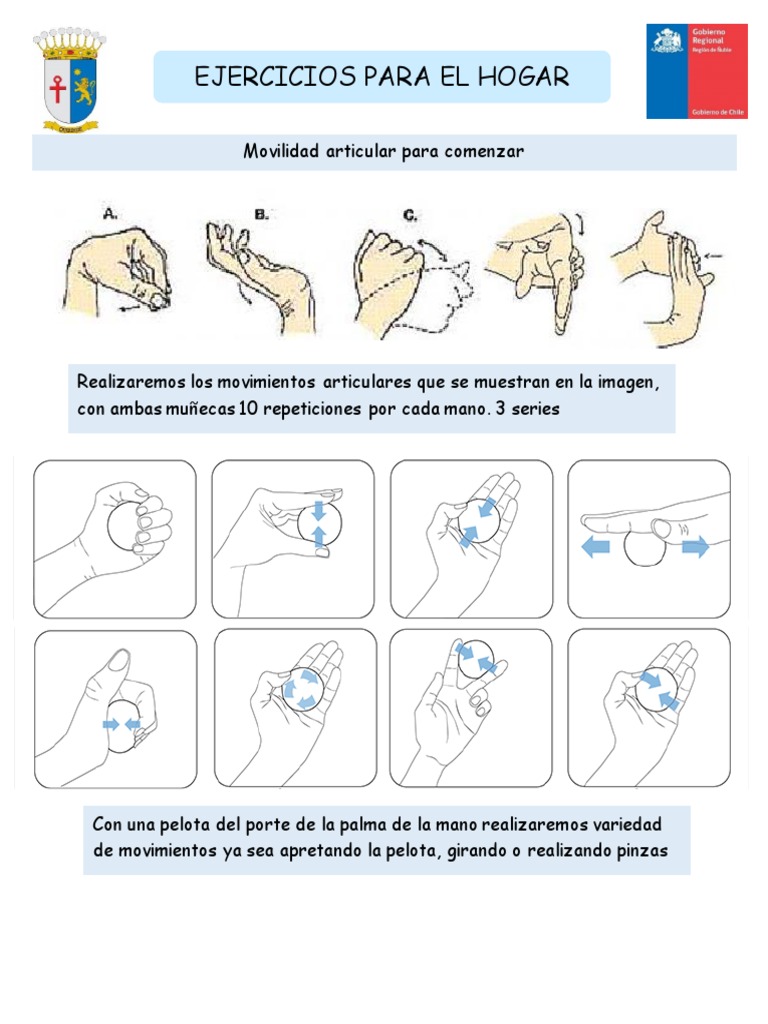 Paunta de Ejercicios Mano-Muñeca | PDF | Mano | Sistema musculoesquelético