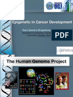 Epigenetic in Cancer Development