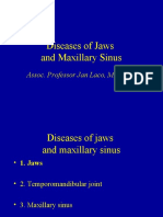 Diseases of Jaws and Maxillary Sinus