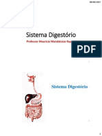 Sistema digestivo: órgãos e funções