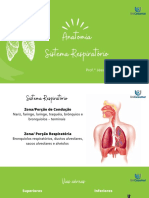 Anatomia Sistema Respiratório Prof Nova