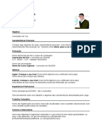 Currículo para Comissários - Modelo 2 (Português)