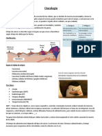 Generalidades y Bases de Oncología