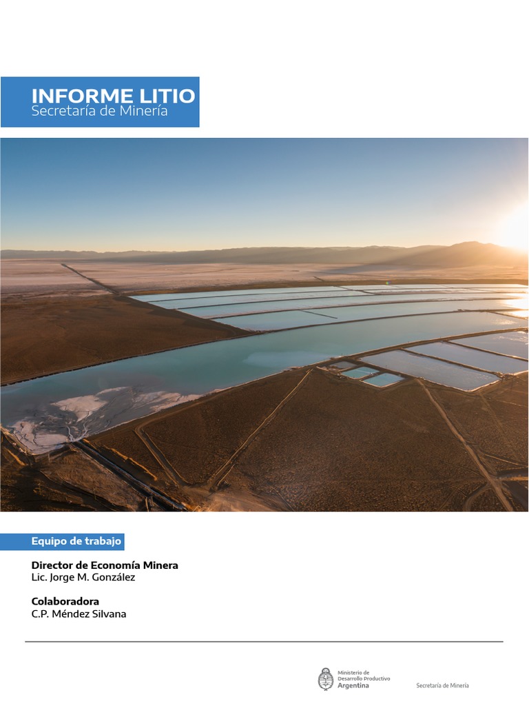 Informe sobre el Litio en Argentina | PDF | Minería | Litio