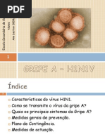 Gripe a Esc Gago Coutinho Alunos
