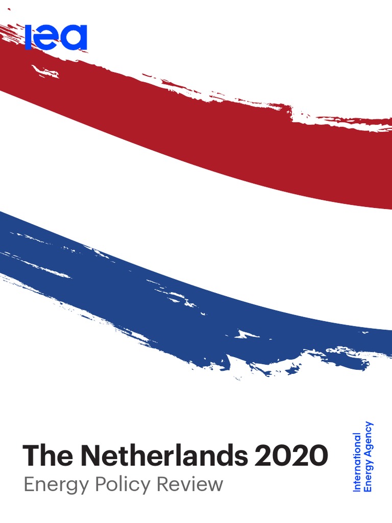The Netherlands 2020 Energy Policy Review PDF Low Carbon Economy