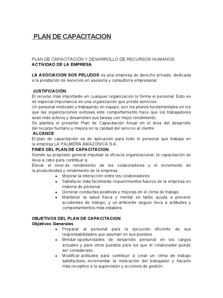 Plan de Capacitación para Recursos Humanos | PDF | Gestión de recursos ...