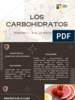 Los_carbohidratos_3_sec_2022