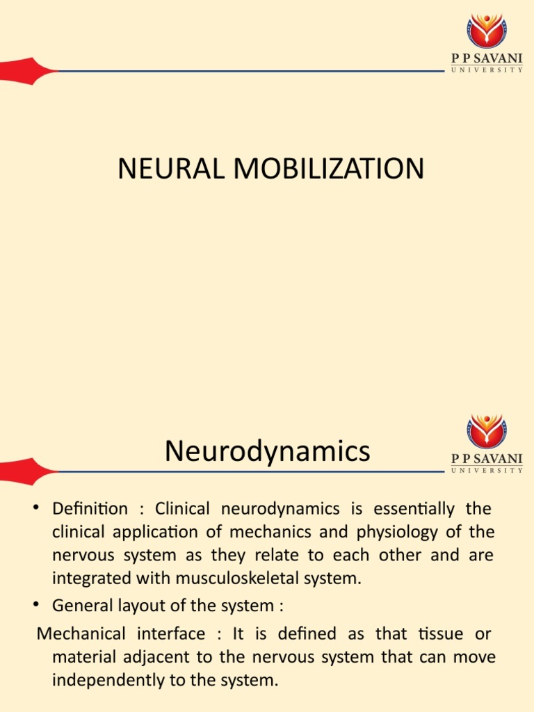 Neuro Dynamics Pdf Nerve Nervous System