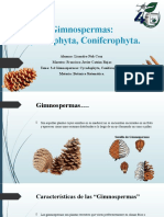 3.4 Gimnospermas Cycadophyta, Coniferophyta