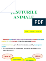 Țesuturile Animale - Cls.10