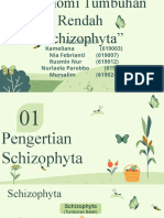 Taksonomi Tumbuhan Rendah Kelompok 1 (Divisi Schizophyta)