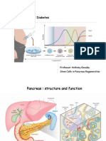 Stem Cells in Diabetes 2022