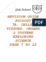 7A Revision